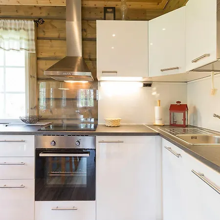 아파트 Velhontie 38 Visit 레비