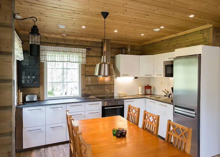 Velhontie 38 Visit 레비